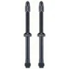 Giant Set Valve Tubeless - 65 Mm Jante