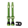 CushCore Set Valve Tubeless - 55mm (2 Pièces) - Vert
