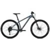 Ns-bikes NS Bikes ECCENTRIC Lite 2 - 29" Mountainbike - 2021 - Sharkskin