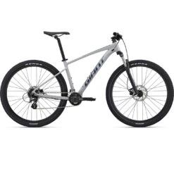 Giant TALON 3 29" VTT - 2023 - Good Gray