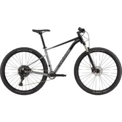 Cannondale Vélo Tout Terrain 29" - TRAIL SL 4 - 2023 - Grey